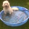 My old little boy pool.... now my brother can have it!
