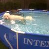 Filling up my pool day!